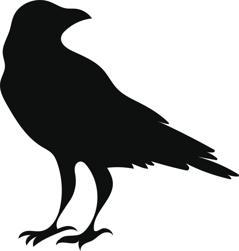 Illustration of ravens. A black crowes. Cute flying crow.